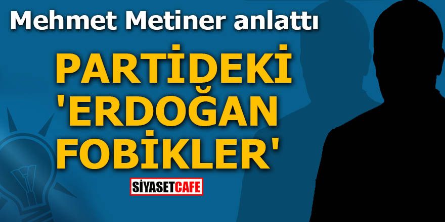 Mehmet Metiner anlattı Partideki 'Erdoğanfobikler'