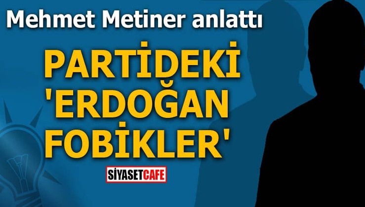 Mehmet Metiner anlattı Partideki 'Erdoğanfobikler'