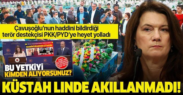 Terör destekçisi İsveç Dışişleri Bakanı Ann Linde ayağının tozuyla eli kanlı PKK’ya heyet yolladı