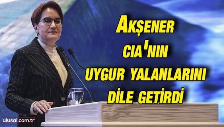 Meral Akşener CIA'nın Uygur yalanlarını dile getirdi: İyi Parti'den ''İnsan Hakları ve Doğu Türkistan'' etkinliği
