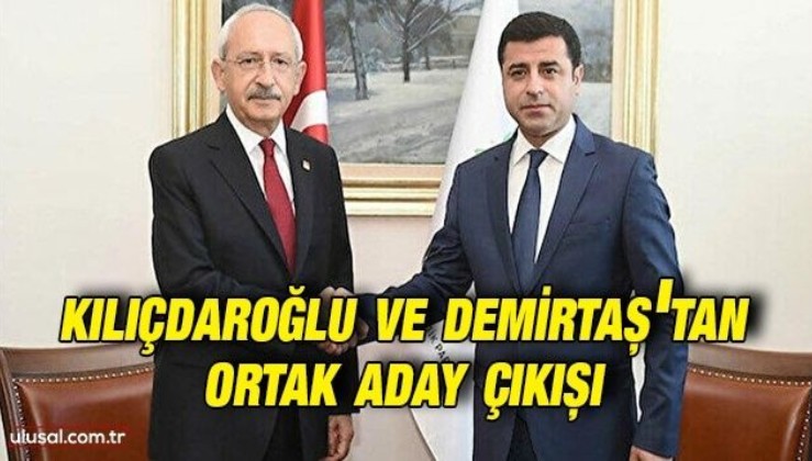 Kılıçdaroğlu ve Demirtaş'tan ortak aday çıkışı