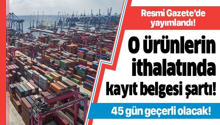 Ticaret Bakanlığı'nın ithalat düzenlemeleri Resmi Gazete'de yayımlandı!