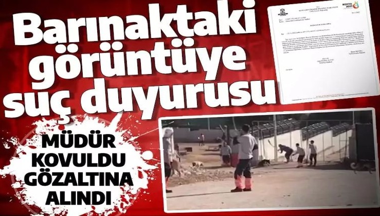 Konya'da hayvan barınağında skandal görüntüler! Sorumlular gözaltında, soruşturma başlatıldı