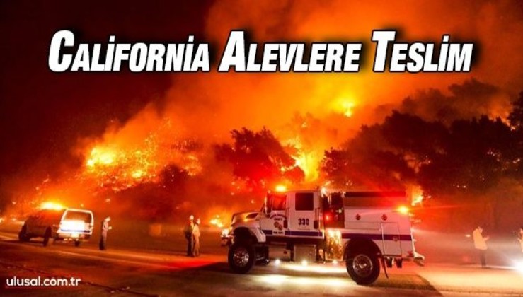ABD'de orman yangınları: California alevlere teslim