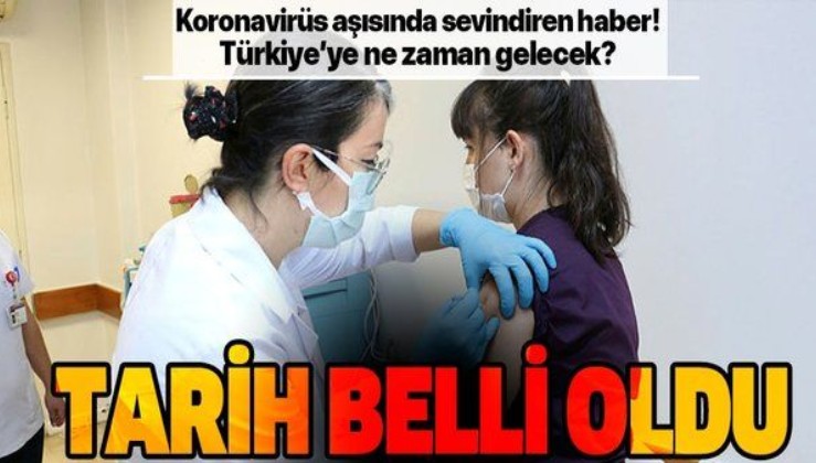 Koronavirüs aşısı Türkiye'ye ne zaman gelecek? Tarih belli oldu