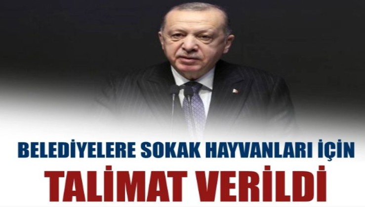 Cumhurbaşkanı Erdoğan'dan belediyelere 'sokak hayvanları' için talimat