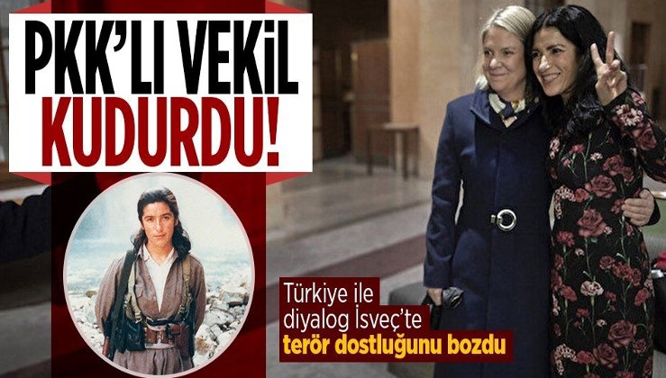 İsveç'in açıklamaları PKK'lı vekil Kakabaveh'i kudurttu! Türkiye ile diyalog terör dostluğunu bozdu