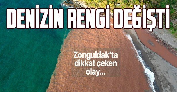 Zonguldak'ta dikkat çeken olay... Denizin rengi değişti