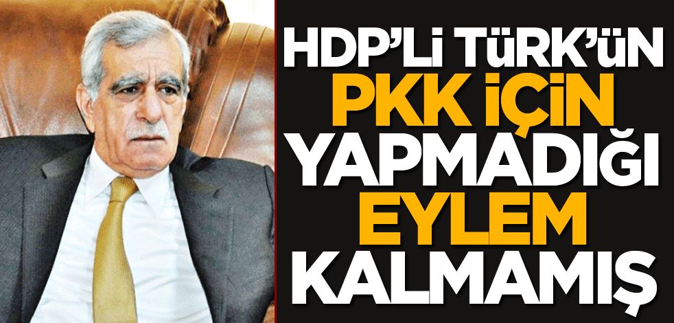 HDP’li Türk’ün PKK için yapmadığı eylem kalmamış!
