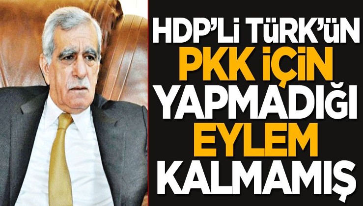 HDP’li Türk’ün PKK için yapmadığı eylem kalmamış!