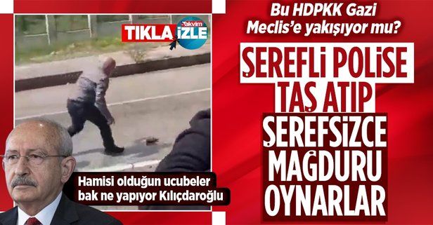 PKK'lı terörist için tören düzenlemek isteyen HDP'li vekil polise taş attı