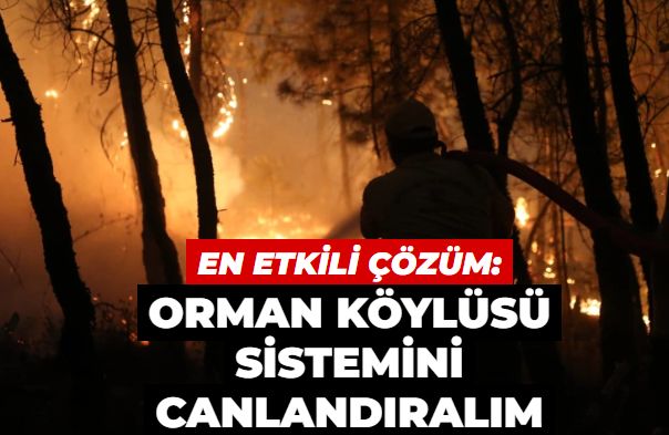 Orman köylüsü sistemini canlandıralım