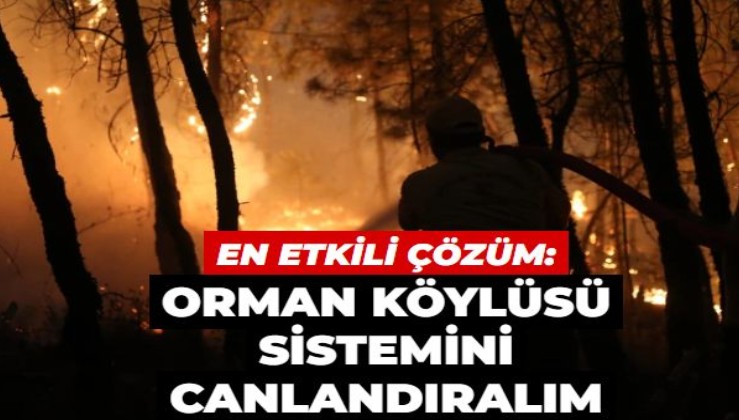 Orman köylüsü sistemini canlandıralım