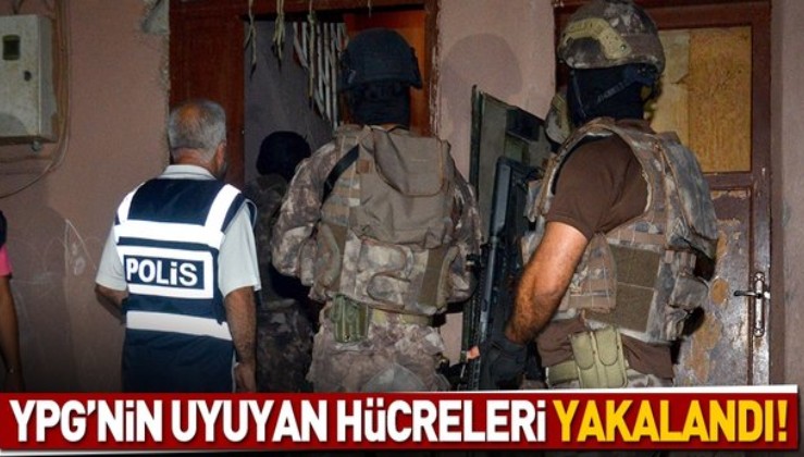 YPG'nin uyuyan hücreleri yakalandı