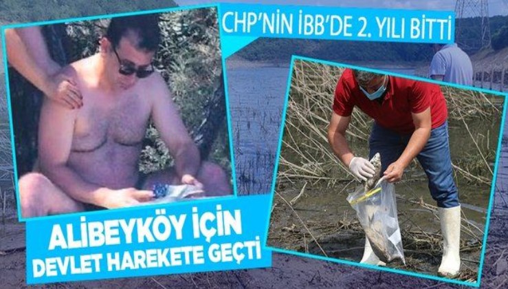 İstanbul İl Tarım ve Orman Müdürlüğü, Alibeyköy Barajı'nda kıyıya vuran balıklardan ve sudan numune aldı