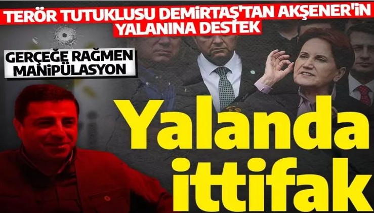 Demirtaş'tan Akşener'in 'kurşun' manipülasyonuna destek!