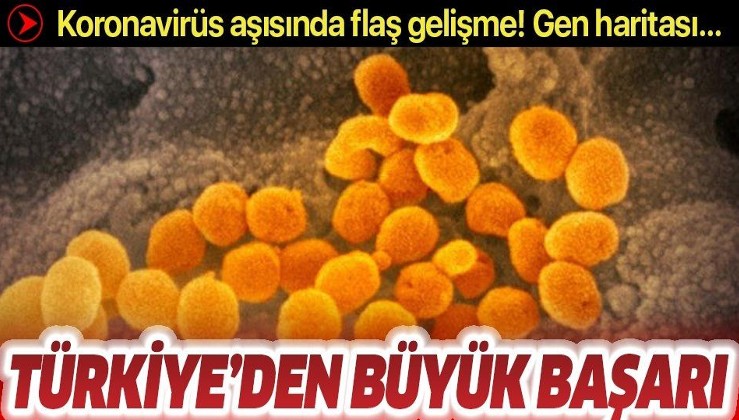 Son dakika: Koronavirüs aşısıyla ilgili Türkiye'den büyük başarı!