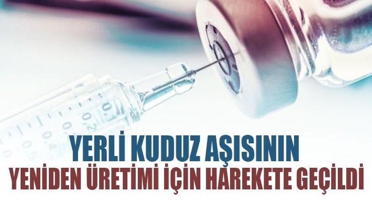 Türkiye 25 yıl aradan sonra yerli kuduz aşısı üretimi için harekete geçti