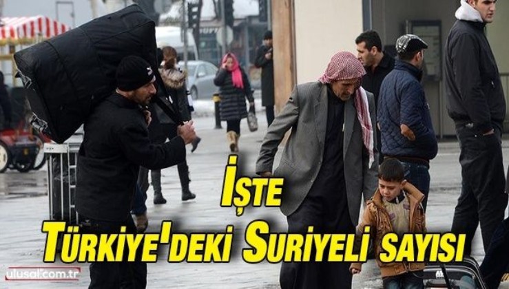 Türkiye'de ne kadar Suriyeli yaşıyor