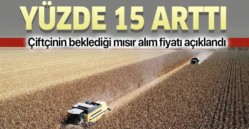 Tarım ve Orman Bakanı Pakdemirli mısır alım fiyatını açıkladı! Yüzde 15 arttı