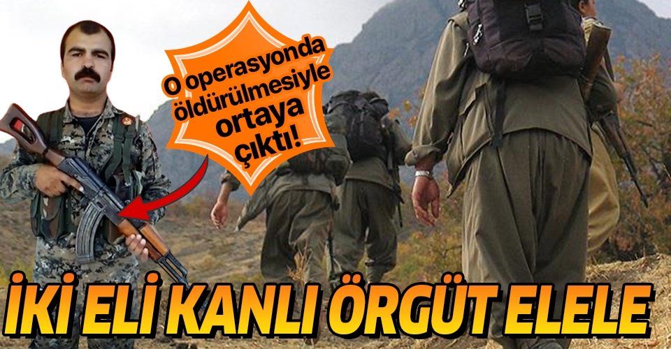 Kars'taki operasyonda ortaya çıktı! PKK ve MLKP'den terör kardeşliği!