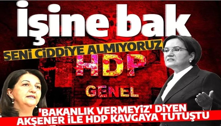 HDP'den Meral Akşener'e yanıt: Ciddiye almıyoruz, herkes kendi işine baksın