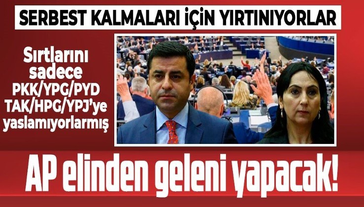 AP, Selahattin Demirtaş ve sırtını PKK/YPG/PYD'ye yaslayan Figen Yüksekdağ'ın hapisten çıkması için elinden geleni yapacak