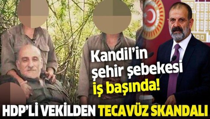 HDP’li vekil Tuma Çelik'ten tecavüz skandalı
