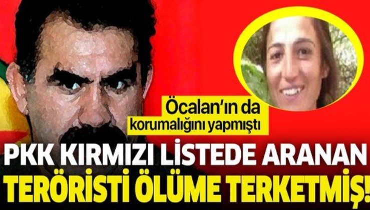 Kırmızı listede aranan PKK'lı Hafize Özdemir ölü bulunmuştu! O detay telsiz konuşmalarında ortaya çıktı