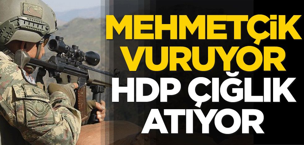 Mehmetçik vuruyor HDP çığlık atıyor