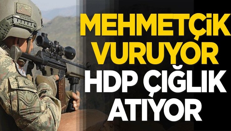 Mehmetçik vuruyor HDP çığlık atıyor