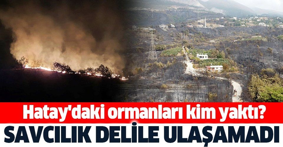 İskenderun Cumhuriyet Başsavcılığı, Hatay'daki orman yangınıyla ilgili henüz bir delil bulamadı