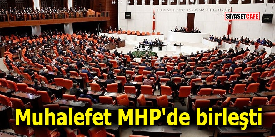 Muhalefet MHP'de birleşti