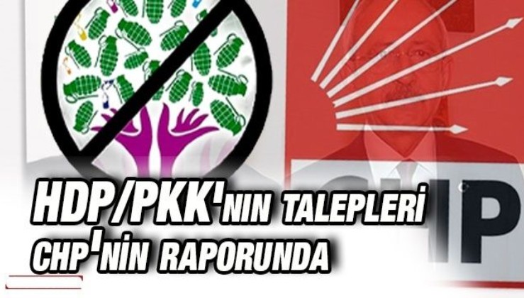 HDP/PKK'nın talepleri CHP'nin raporunda