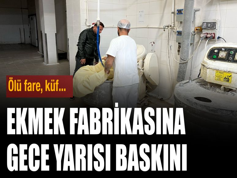Ekmek fabrikasına gece yarısı baskın: Ölü fare, küf bulundu...