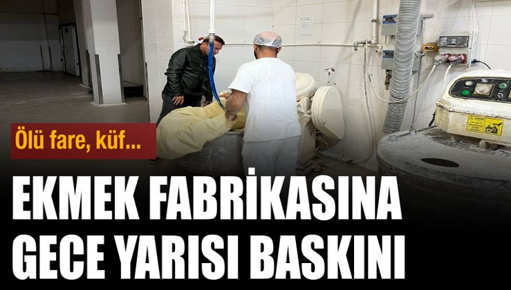Ekmek fabrikasına gece yarısı baskın: Ölü fare, küf bulundu...