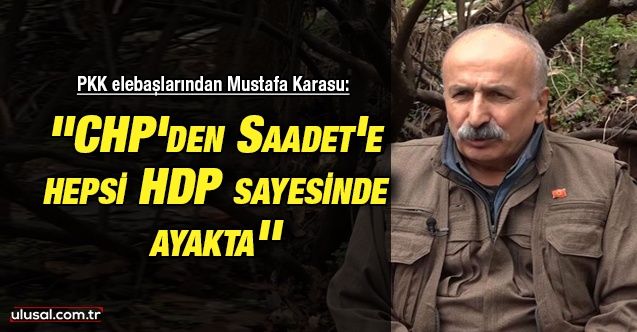 PKK elebaşlarından Mustafa Karasu: ''CHP'den Saadet'e hepsi HDP sayesinde ayakta''