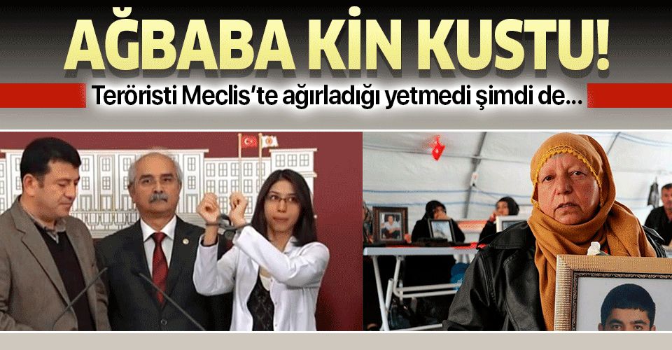 Veli Ağbaba Diyarbakır annesine kin kustu!.