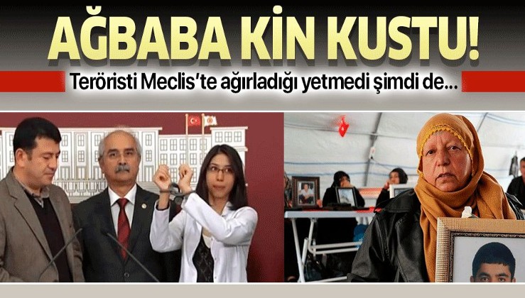 Veli Ağbaba Diyarbakır annesine kin kustu!.