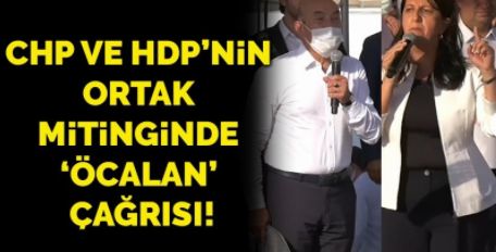 HDP ve CHP'den ortak miting ÖCALAN için “TECRİDİ KALDIRIN” çağrısı
