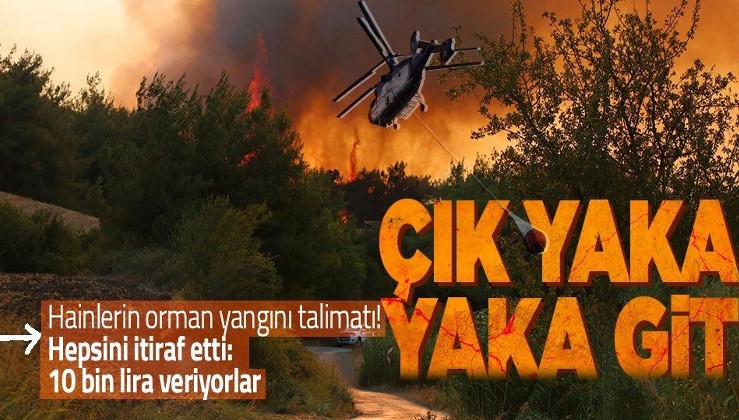 Orman yangınlarıyla ilgili çarpıcı itiraf: PKK sempatizanı talimat almış