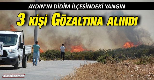 Aydın'ın Didim ilçesindeki yangın: 3 kişi gözaltına alındı