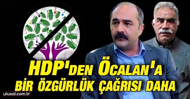 HDP bir kez daha terörist başı Öcalan için özgürlük istedi