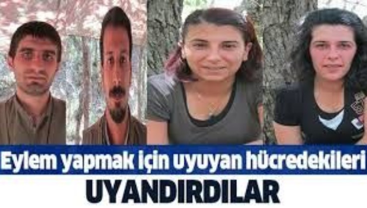 SON DAKİKA: PKK'nın eylem yapmak için hazır bekleyen uyuyan hücresine operasyon: 5 kişi yakalandı