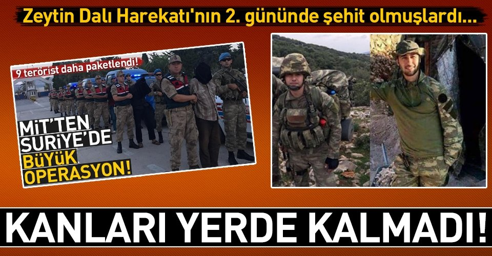 Askerlerimizi şehit eden 9 PKK/YPG’li Afrin’de yakalanıp getirildi