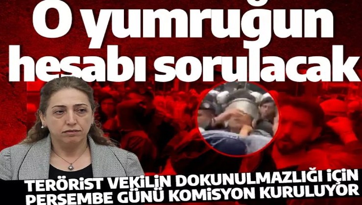 Polise tokat atmıştı! DBP'li Saliha Aydeniz'in dokunulmazlığı için perşembe günü komisyon toplanacak