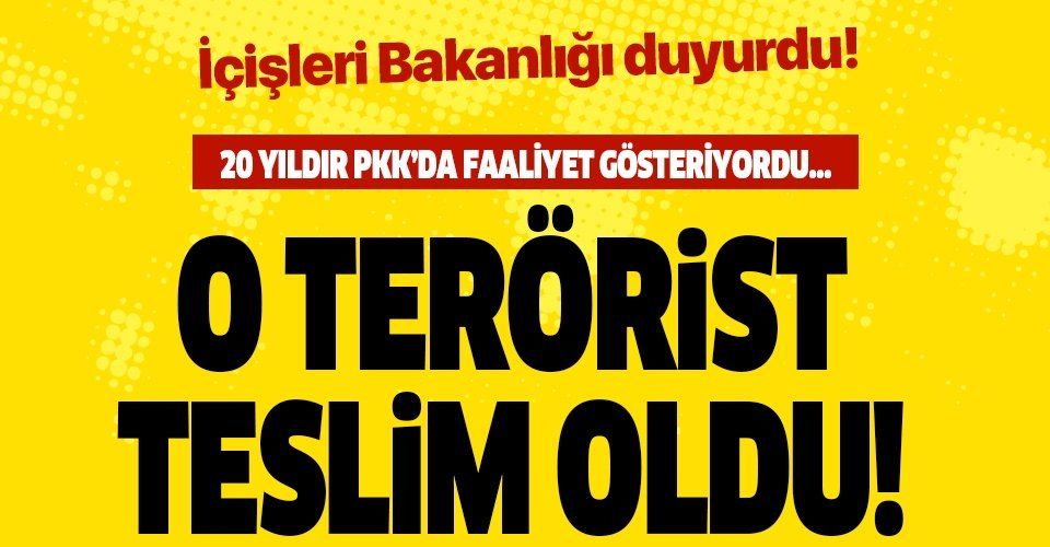 Son dakika: İçişleri Bakanlığı: 20 yıldır PKK'da faaliyet gösteren terörist ikna yoluyla teslim oldu