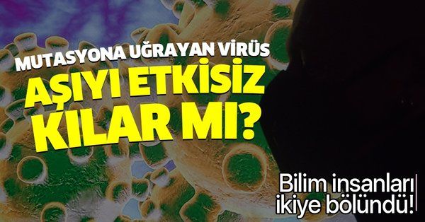 Bilim insanları ikiye ayrıldı! 11 kez mutasyona uğrayan koronavirüs olası bir aşı etkisiz kılar mı?