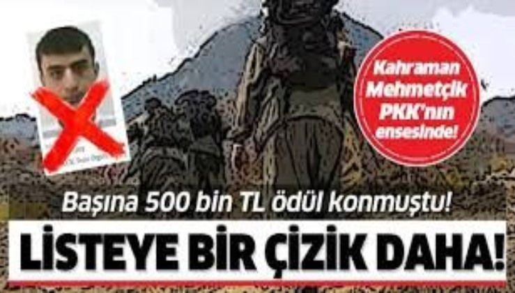 PKK'ya büyük darbe! 500 bin TL ödülle aranan 'Avareş' kod adlı Musa Bulan etkisiz hale getirildi