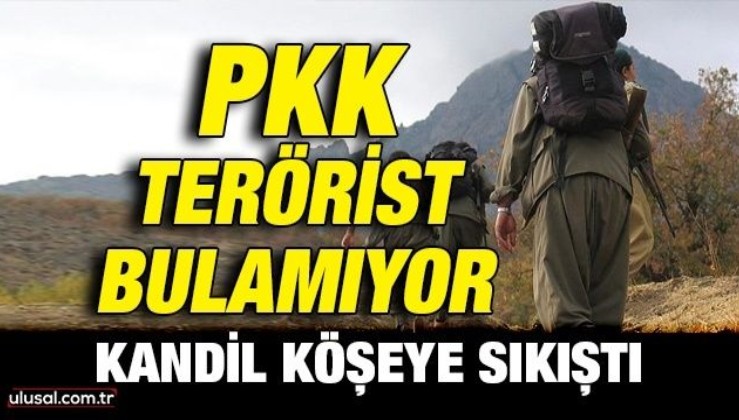 Kandil köşeye sıkıştı: PKK terörist bulamıyor